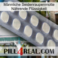 Männliche Seidenraupenmotte Nährende Flüssigkeit 08